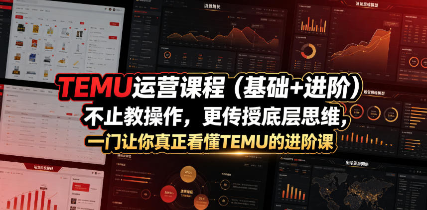 TEMU运营课程(基础+进阶),不止教操作,更传授底层思维,一门让你真正看懂TEMU的进阶课 1 TEMU运营课程(基础+进阶),不止教操作,更传授底层思维,一门让你真正看懂TEMU的进阶课