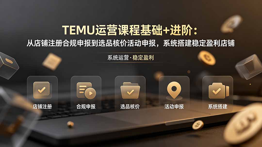 TEMU运营课程(基础+进阶-lanti云网创