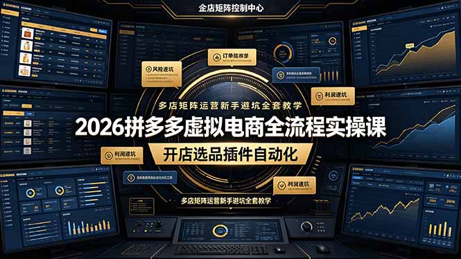 2026拼多多虚拟电商全流程实操课，开店选品插件自动化，多店矩阵运营新手避坑全套教学 - LanTi云网创-lanti云网创