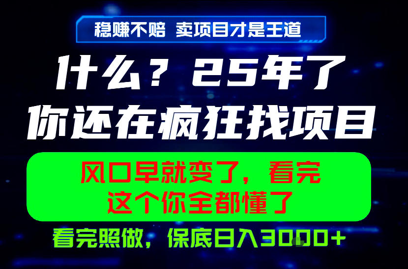 26年,请不要疯狂的找项目做了!卖项目才是真的稳賺不赔,看完照做,保底日入1k+【揭秘】 1 26年,请不要疯狂的找项目做了!卖项目才是真的稳賺不赔,看完照做,保底日入1k+【揭秘】