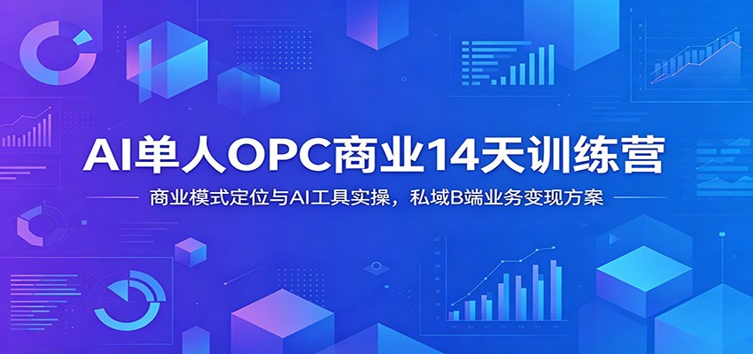 AI单人OPC商业14天训练营：商业模式定位与AI工具实操，私域B端业务变现方案-lanti云网创