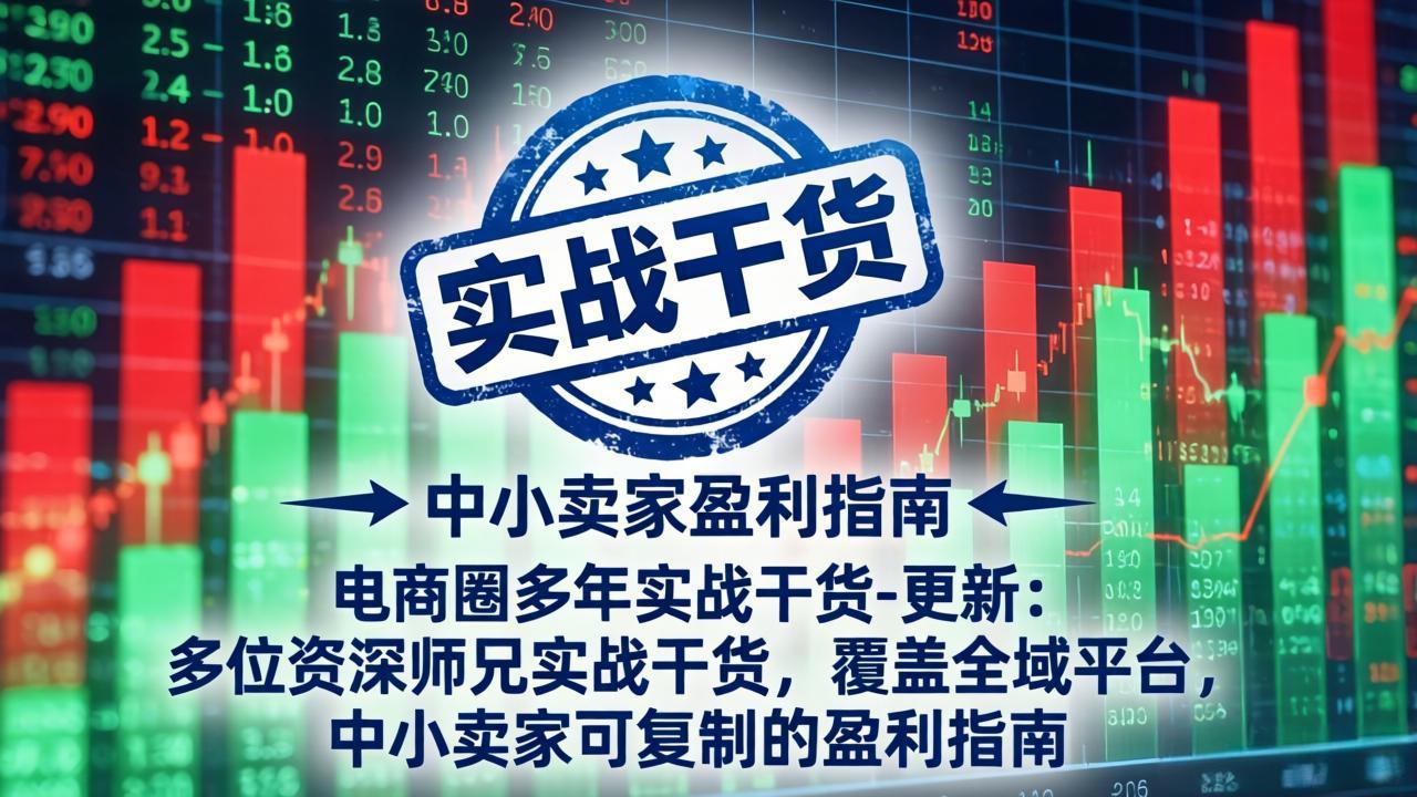 电商圈多年实战干货-更新5月10：多位资深师兄实战干货/覆盖全域平台，中小卖家可复制的盈利指南-lanti云网创