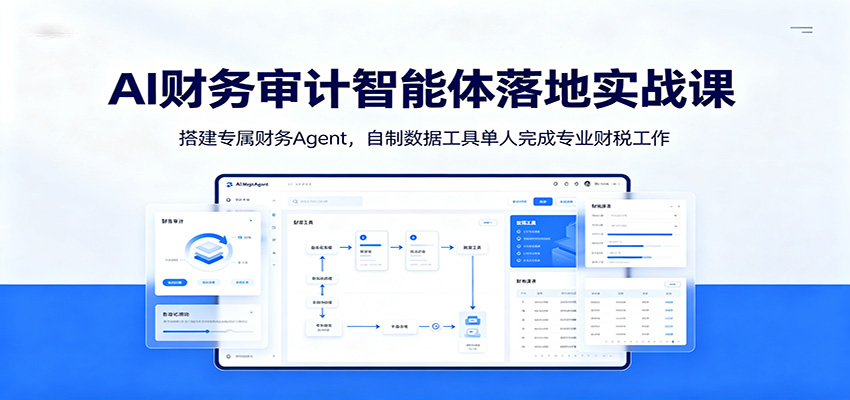 AI财务审计智能体落地实战课：搭建专属财务Agent，自制数据工具单人完成专业财税工作-lanti云网创