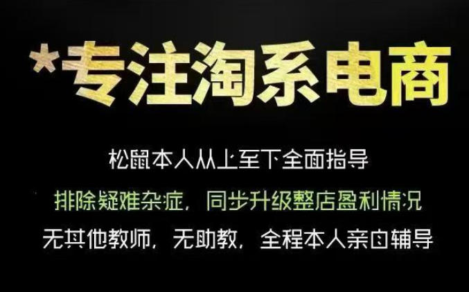 松鼠会电商VIP课程，从基础布局到高阶优化，助你掌握淘宝运营逻辑，提升店铺流量与转化(更新0703)-lanti云网创