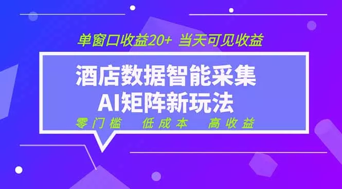 2026酒店数据采集ai智能矩阵新风口 低成本 高收益 当天见收益 单窗口20+-lanti云网创